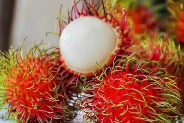 紅毛丹孕早期可以吃嗎 紅毛丹孕婦一天吃幾個(gè) 紅毛丹孕早期可以吃嗎 紅毛丹孕婦一天吃幾個(gè)