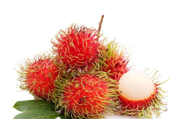 紅毛丹有毒嗎 紅毛丹有哪些營(yíng)養(yǎng)價(jià)值 紅毛丹有毒嗎 紅毛丹有哪些營(yíng)養(yǎng)價(jià)值