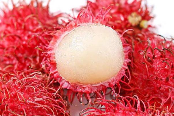 紅毛丹對胃好嗎 胃痛可以吃紅毛丹嗎 紅毛丹對胃好嗎 胃痛可以吃紅毛丹嗎