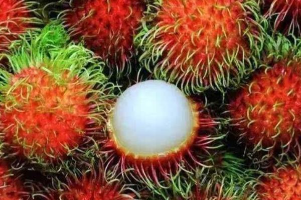 紅毛丹對胃好嗎 胃痛可以吃紅毛丹嗎 紅毛丹對胃好嗎 胃痛可以吃紅毛丹嗎