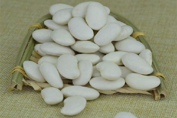 白蕓豆可以減肥嗎 白蕓豆減肥效果怎么樣 白蕓豆可以減肥嗎 白蕓豆減肥效果怎么樣