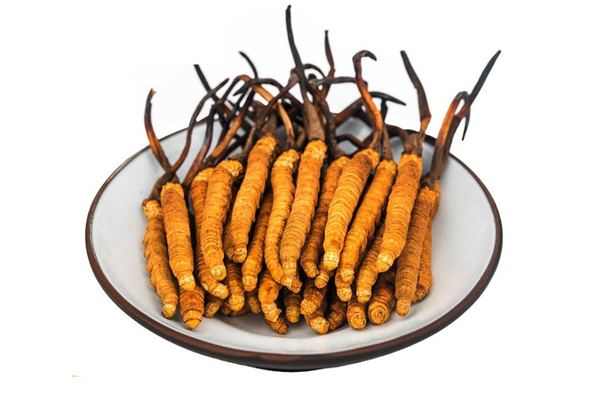 冬蟲(chóng)夏草的產(chǎn)地是哪里 冬蟲(chóng)夏草聞起來(lái)什么味道