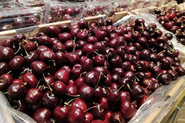 車?yán)遄邮羌t色的好還是深色的好 車?yán)遄淤I哪種最好