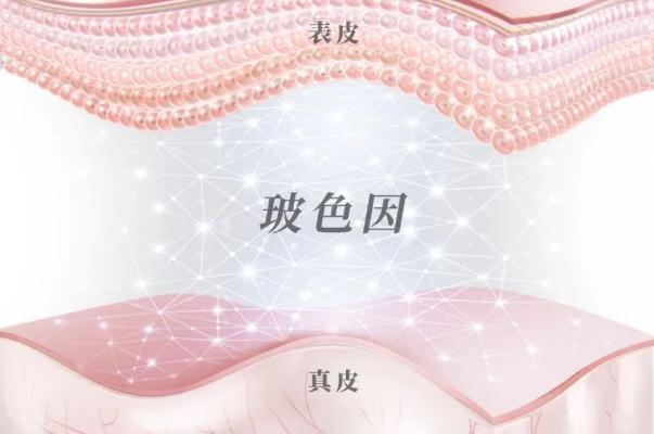 玻色因的功效與作用 玻色因的副作用 玻色因的功效與作用 玻色因的副作用