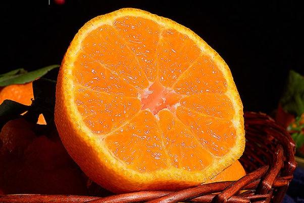 丑橘產(chǎn)地在哪個地方 丑橘要放好久才甜