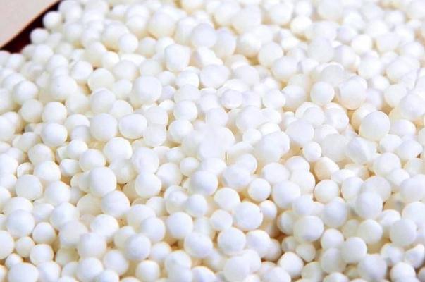 西米要過冷水嗎 西米有白心可以吃嗎 西米要過冷水嗎 西米有白心可以吃嗎