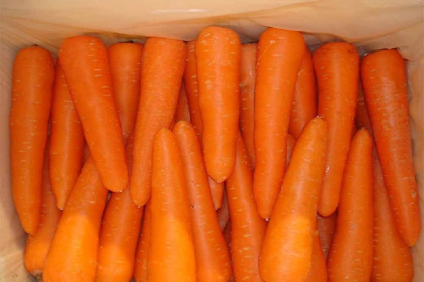 胡蘿卜買(mǎi)帶土的還是干凈的 胡蘿卜買(mǎi)什么樣的好