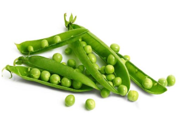豌豆會不會長胖 豌豆會不會引起脹氣 豌豆會不會長胖 豌豆會不會引起脹氣