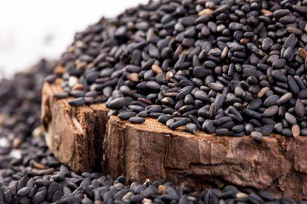 黑芝麻可以空腹吃嗎 黑芝麻什么時間吃效果好 黑芝麻可以空腹吃嗎 黑芝麻什么時間吃效果好