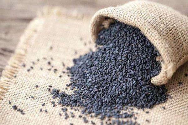 黑芝麻和白芝麻哪個好一些 黑芝麻吃多了會怎么樣