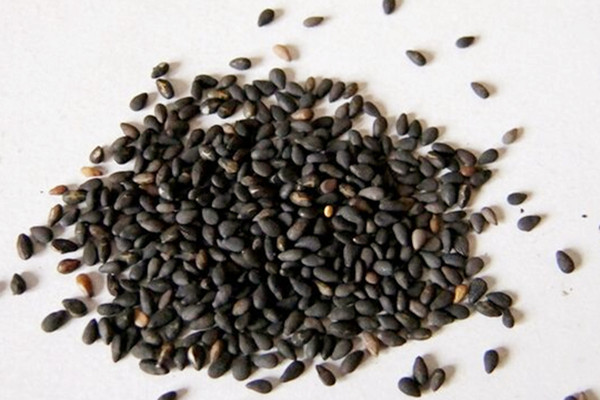 黑芝麻會(huì)發(fā)霉嗎 黑芝麻發(fā)霉了能吃嗎 黑芝麻會(huì)發(fā)霉嗎 黑芝麻發(fā)霉了能吃嗎