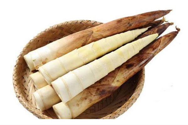 春筍幾月份長(zhǎng)出來 春筍是什么竹子的筍