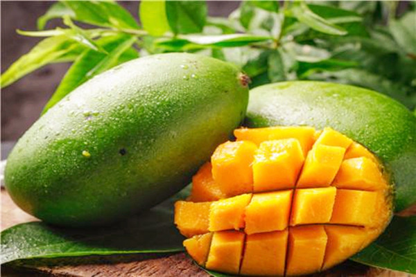 芒果怎么看壞沒壞 芒果如何快速催熟 芒果怎么看壞沒壞 芒果如何快速催熟
