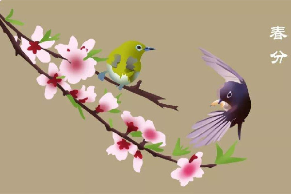 春分時(shí)太陽直射在什么地方 春分時(shí)候氣溫一般在多少度