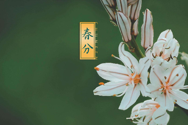 春分穿什么衣服合適 春分對(duì)人們生活的影響
