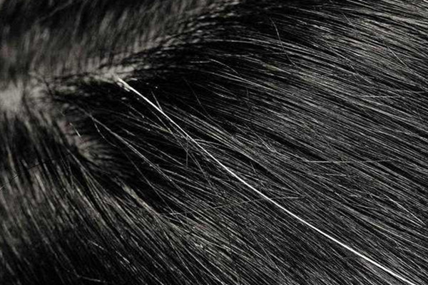 白頭發(fā)會(huì)不會(huì)越染越多 白頭發(fā)用淘米水洗有用嗎 白頭發(fā)會(huì)不會(huì)越染越多 白頭發(fā)用淘米水洗有用嗎