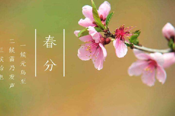 春分時(shí)太陽直射在什么地方 春分時(shí)候氣溫一般在多少度