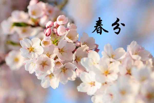 春分時(shí)太陽直射在什么地方 春分時(shí)候氣溫一般在多少度