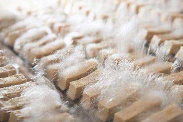 毛豆腐孕婦可以吃嗎 毛豆腐的來(lái)源和歷史 毛豆腐孕婦可以吃嗎 毛豆腐的來(lái)源和歷史