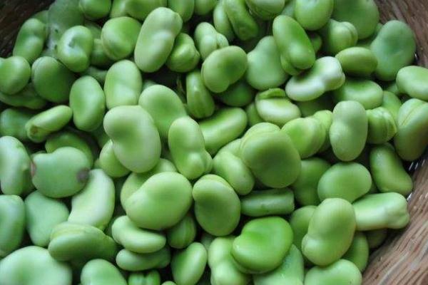 蠶豆有雌激素嗎 子宮肌瘤能吃蠶豆嗎 蠶豆有雌激素嗎 子宮肌瘤能吃蠶豆嗎