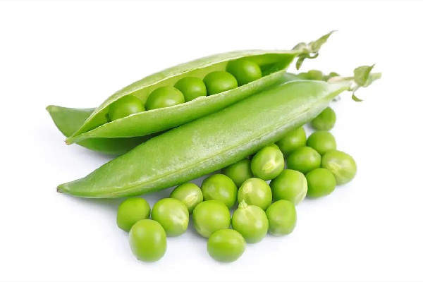 青豆要煮多久才熟 青豆不熟會中毒嗎