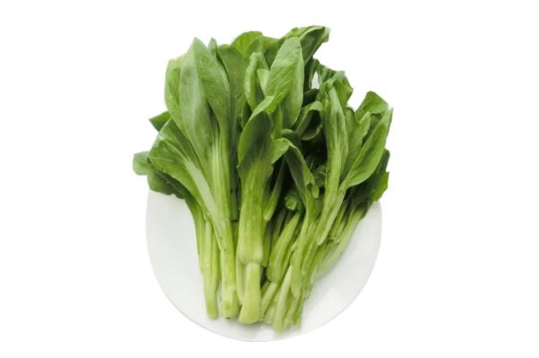 菜苔有幾種 吃紅菜苔會長胖嗎 菜苔有幾種 吃紅菜苔會長胖嗎