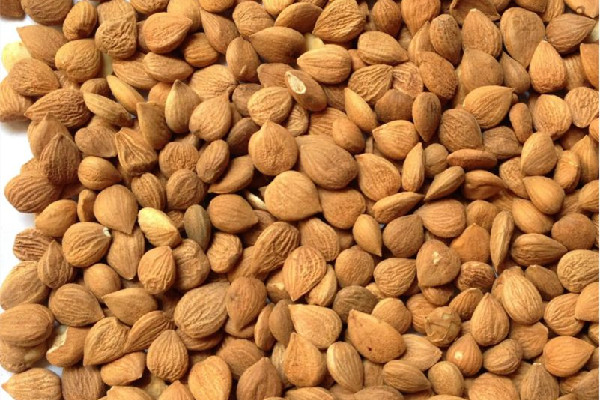 苦杏仁會(huì)導(dǎo)致流產(chǎn)嗎 ?苦杏仁對孕婦有影響嗎