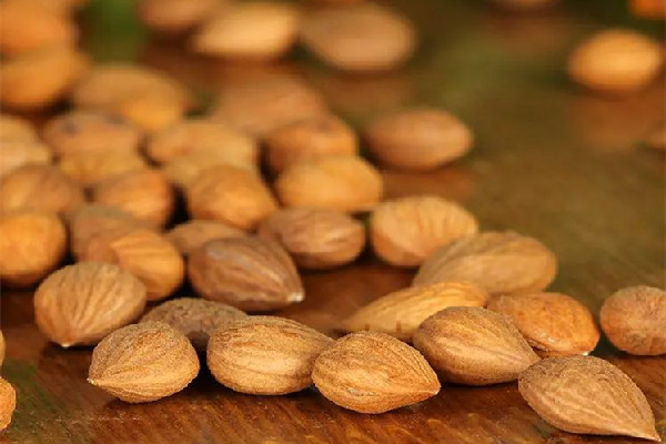 苦杏仁是南杏還是北杏 苦杏仁是什么果實