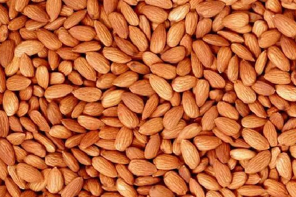 苦杏仁會(huì)導(dǎo)致流產(chǎn)嗎 ?苦杏仁對孕婦有影響嗎