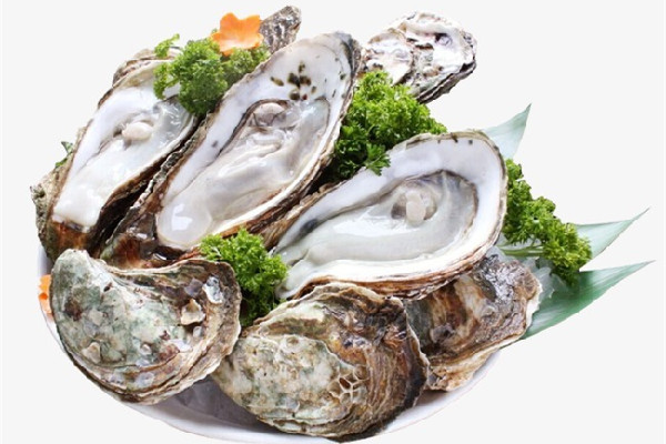 生蠔是開水蒸還是冷水蒸 生蠔蒸多長時(shí)間最好吃