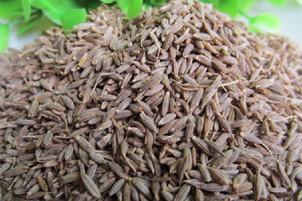 孜然有生熟之分嗎 孜然買回來還用炒熟嗎 孜然有生熟之分嗎 孜然買回來還用炒熟嗎