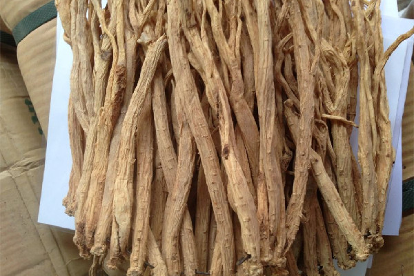 黨參對男性性功能有幫助嗎 黨參可以補腎嗎