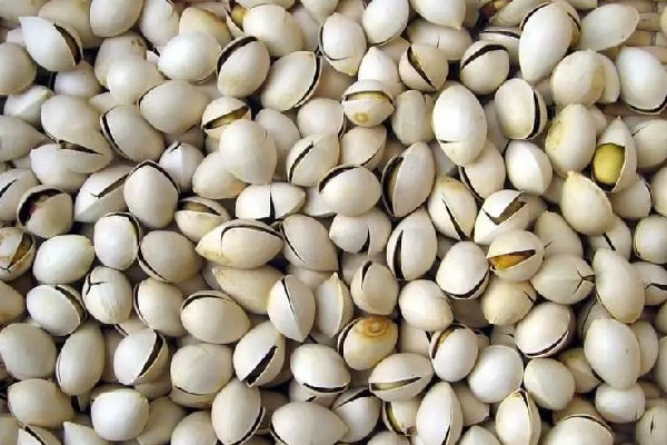 白果煲湯搭配什么最好 白果煲湯要去皮嗎 白果煲湯搭配什么最好 白果煲湯要去皮嗎