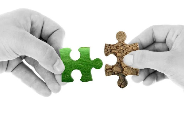 拼圖有什么技巧 拼圖要看原圖嗎 拼圖有什么技巧 拼圖要看原圖嗎