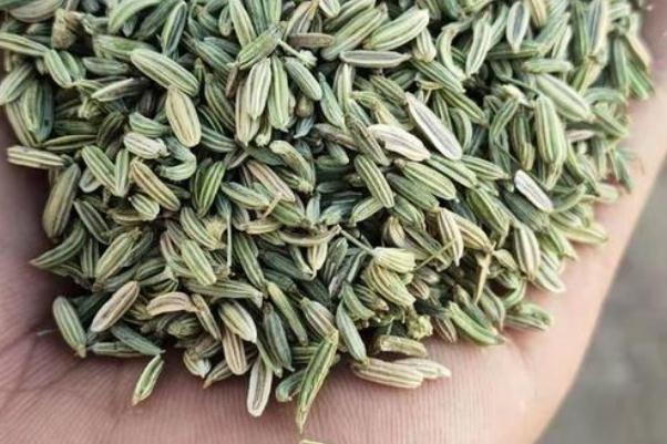 小茴香的熱量 小茴香泡水喝一次多少的量 小茴香的熱量 小茴香泡水喝一次多少的量