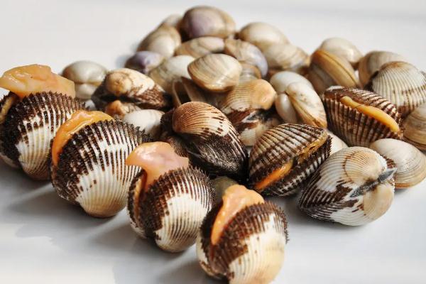 蛤蜊是涼性還是熱性的 蛤蜊里面的黑色的東西能吃嗎