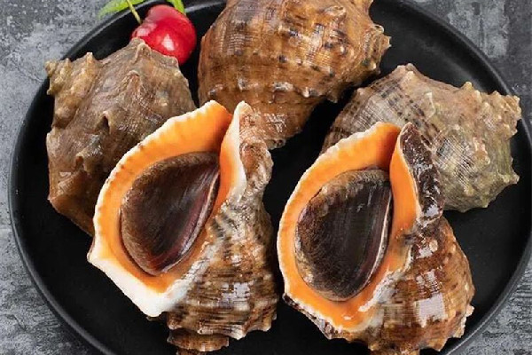 大海螺要吐沙子嗎 大海螺怎么吐沙子干凈 大海螺要吐沙子嗎 大海螺怎么吐沙子干凈