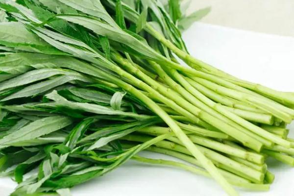 藜蒿的嘌呤高嗎 藜蒿是哪里特產