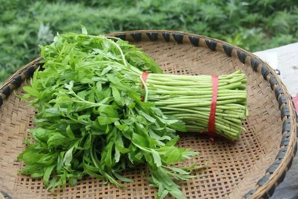 藜蒿有什么營養(yǎng)價(jià)值 藜蒿的禁忌