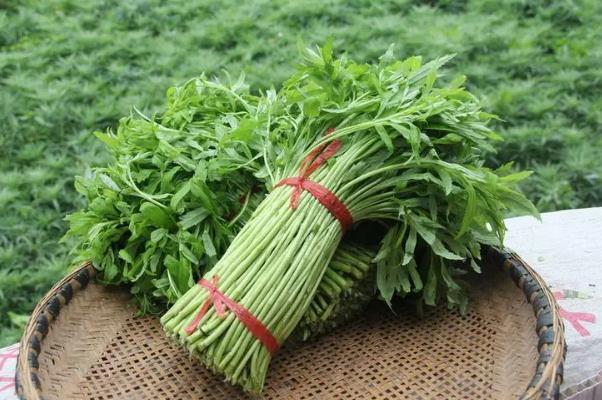 藜蒿有什么營養(yǎng)價(jià)值 藜蒿的禁忌