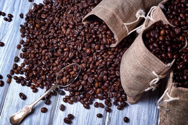 咖啡豆是豆類(lèi)嗎 咖啡豆是水果嗎