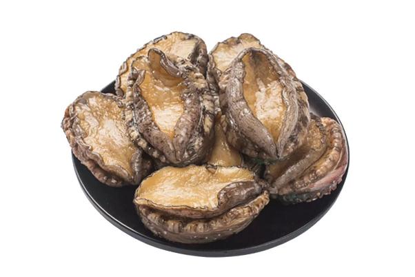 鮑魚會發(fā)胖么 鮑魚會上火嗎 鮑魚會發(fā)胖么 鮑魚會上火嗎