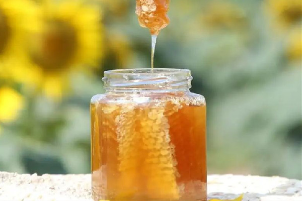 土蜂蜜的功效和作用 土蜂蜜是什么蜂蜜 土蜂蜜的功效和作用 土蜂蜜是什么蜂蜜