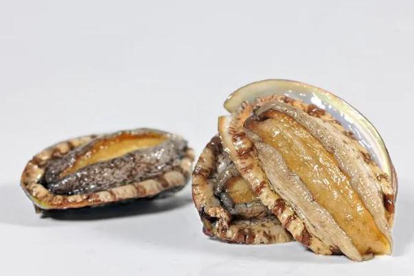 鮑魚有牙齒嗎 鮑魚有幾頭什么意思 鮑魚有牙齒嗎 鮑魚有幾頭什么意思