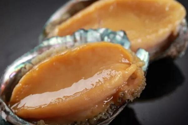 鮑魚要放冰箱嗎 鮑魚要?dú)⒁幌聠? alt=