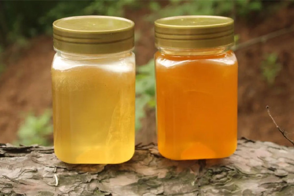 土蜂蜜和普通蜂蜜的區(qū)別 土蜂蜜和普通蜂蜜哪個(gè)好 土蜂蜜和普通蜂蜜的區(qū)別 土蜂蜜和普通蜂蜜哪個(gè)好
