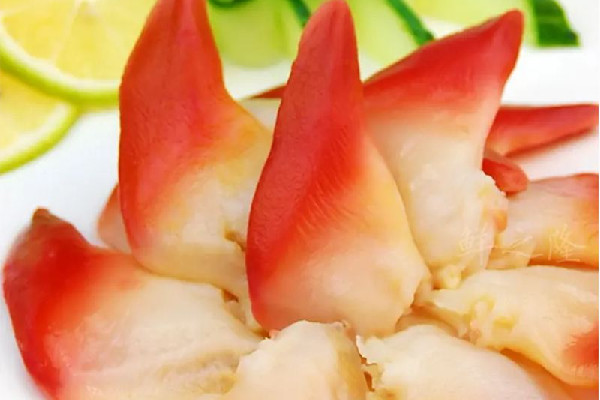 北極貝和北寄貝是同一種東西嗎 北極貝是什么樣的