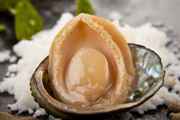 鮑魚對減肥有效果嗎 鮑魚對眼睛有好處嗎 鮑魚對減肥有效果嗎 鮑魚對眼睛有好處嗎