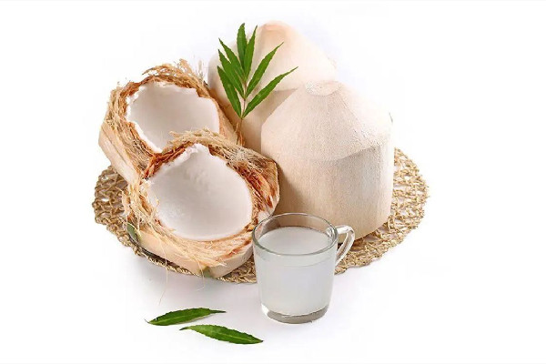 椰青和椰子有什么區(qū)別 椰青是什么 椰青和椰子有什么區(qū)別 椰青是什么