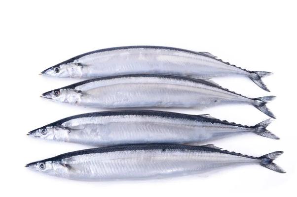 秋刀魚是進口的還是國產(chǎn)的 秋刀魚是寒性還是熱性